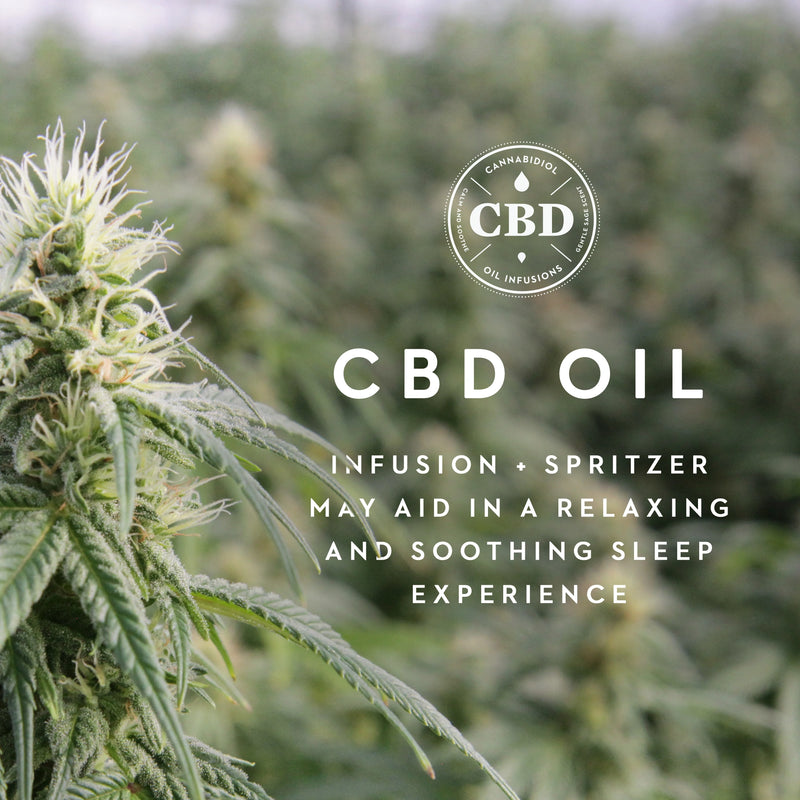 Zoned ActiveDough + CBD Oil Pillow